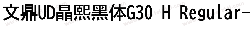 文鼎UD晶熙黑体G30 H Regular字体转换